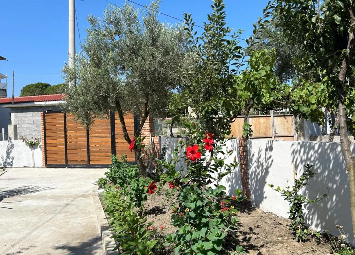 Vila Roan Vlore 0*,  Albania